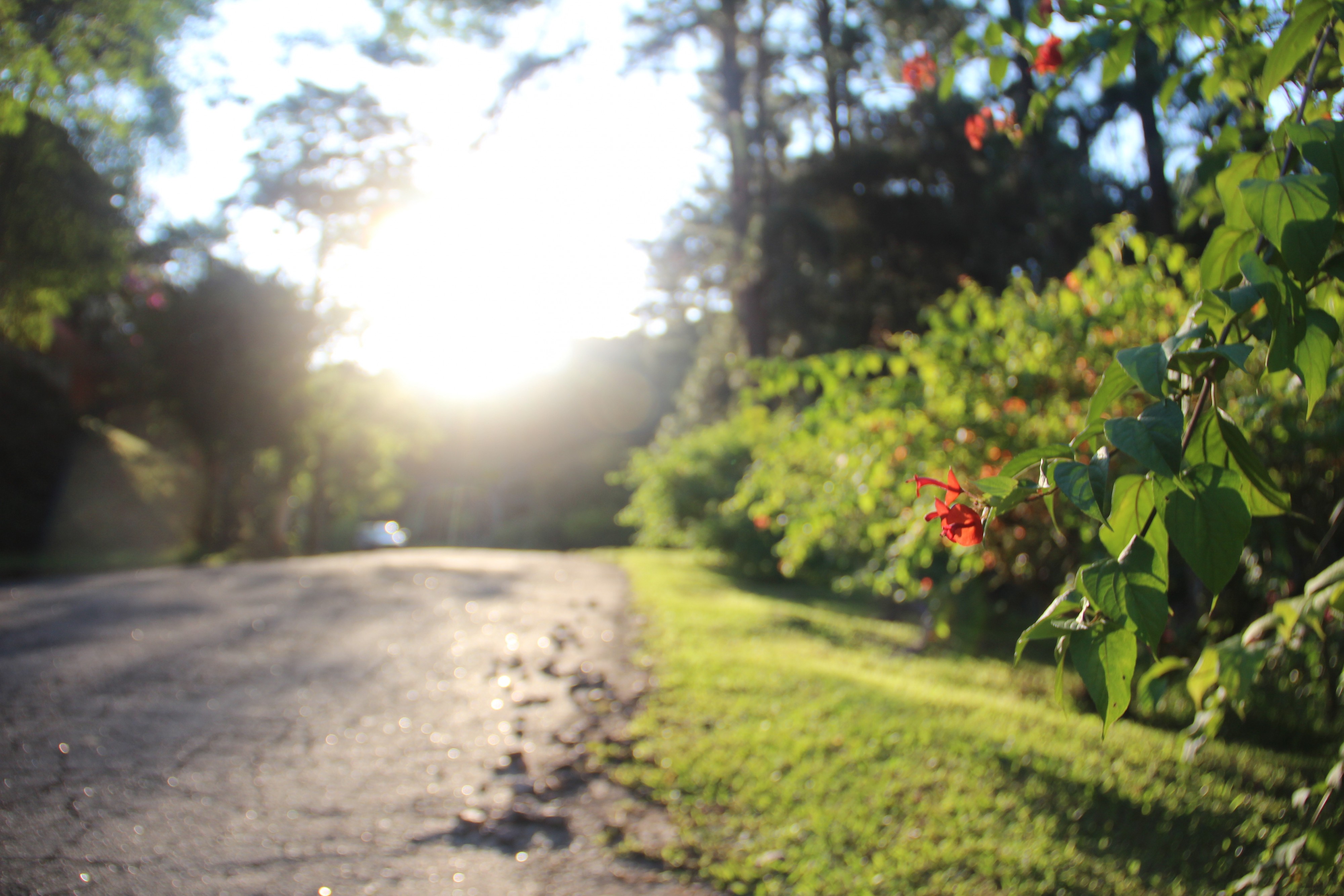 fundo_rua_sol_serie